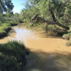 Meet your Posher, Jose